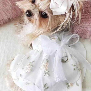 Lps[X t ̎hJ d hX  L ybg i`eCXg  킢 o |GXef zCg q qL ^ ^L JWA