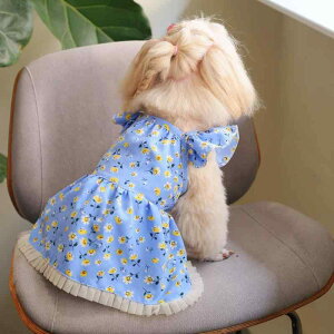 ybgp s[X Lp ԕ ё΍ t XJCu[ |GXef y JWAEFA