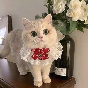 ペット用 スタイ よだれかけ 犬 猫 小型犬 中型犬 大型犬 オーガンジー素材 スカーフ バンダナ 首輪飾り 蝶ネクタイ 鈴付き かわいい おしゃれ 軽量 アクセサリー