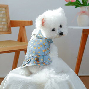  hbOEFA fj ԕ 킢  ^ ^ j̎q ̎q jp |GXe I[V[Y U o ig