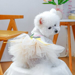  hbOEFA ybgEFA pCibv t[c V[X[  XJ[g s[X hX |GXef t  ig U y