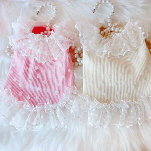 ybgps[X t n[g [X t 킢  Lp ^ Rbgf ig o sN x[W JWAEFA