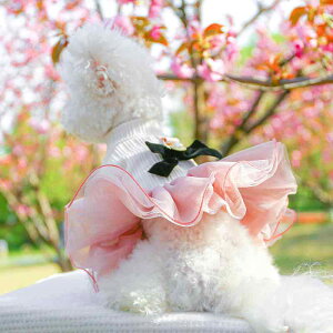  L  ybgEFA ^ ^p 킢 vZX t hX `[XJ[g {[ ӂӂ |GXe JWA m Up