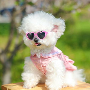 ���p�T���O���X ���^���p �y�b�g�p �n�[�g�^ �A�C�E�F�A ���킢�� ���������� ���U�� ������� �A�N�Z�T���[ �v���X�`�b�N��