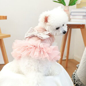 ybg  Lp H~ ӂ `[XJ[g GKg JWA hX ߑ |GXe ^ ^ U  ꒅ