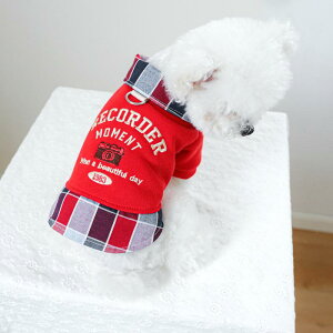 ybgEFA  Lp  p[J[ XEFbgVc d˒ J JWA hbOEFA LbgEFA ig U _炩|GXef