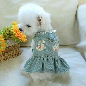 ybg  L H  n[lX̌^ s[X |GXe U o JWAEFA hbOEFA LbgEFA   sN O[
