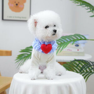 ybgpXJ[t  L ^ qp  t@bV  킢 i }`bN `FbN n[g |GXe lbNEH[}[