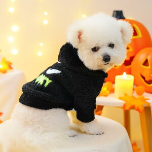 ybgEFA  L p XEFbg g[i[ H~ nEB  ΂ S[XgfUC |GXe i [EFA JWA t@bV 