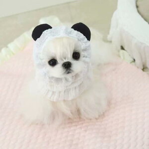 ybgpXk[h HGv Hׂڂ h~ ю L  }`[Y [NVeA ̎ N} [X |GXe ؍