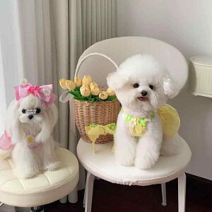 ybgs[X Lp tďH  ؍ ԕ fCW[ |GXe L~\[ WK[hhJ 킢 ؂₩ sN p[v CG[