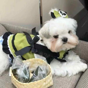 ybgEFA  Lp [^ vZX s[X hX [X t 킢  Rbg |GXe p_ ʔN U o ig