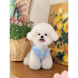 ybg s[X ^ q }`[Y rVt[[ [NV[eA gCv[h L p ėp  |GXe JthJ u[