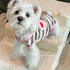 ybg ^ Lp t XgCv  y |GXe JWA jZbNX ^Ngbv xXg rVt[[ ViEU[