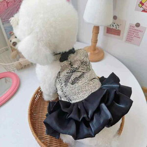 ybg hX Lp ^ }`[Y L  `CihX s[X  tH[} p[eB[ ߂ ꒅ |GXe t