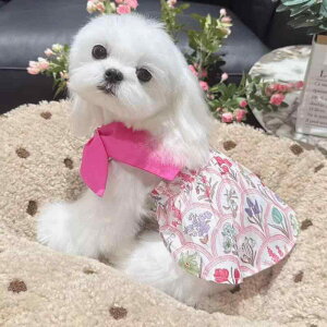  ^ V[Y[ }`[Y ViEU[ vZX ACX s[X hX |GXe  t U o 킢