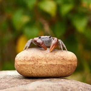  y X Jj ϐF  @̉ 퐻 H|i u   ՗p IuWF  CeA   Ϗܗp 