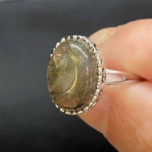 w fB[X  dCbLH Vv [Xg[ 􉽊wfUC O[n ItBXJWA ʋ΃X^C t[TCY