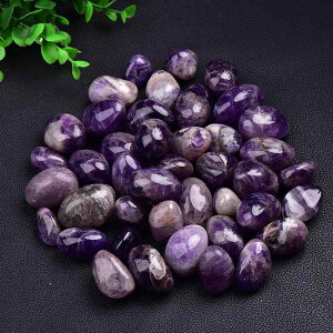 VR AWXg s` ^u   CeA u z[fR[V A}Xg[ ANAE  CAEg Ϗܗp  p[v