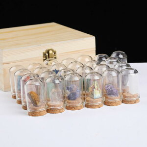 �z���W�{ �q�� �������� �V�R�������� ���� ��� �z������ ���Ȋw�K ���R���� �w�K���� �m�� �C���e���A �u�� �R���N�V���� �f�B�X�v���C �X�g�[�� �~�l����