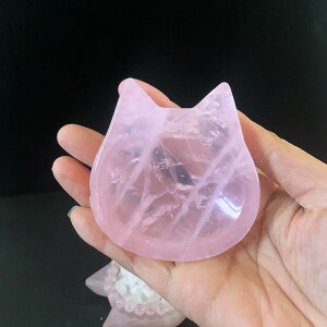 p[Xg[򉻃{E VR [YNH[c sN L  q[O Xs`A _  ANZT[P[X u IuWF