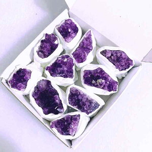 AWXg EOACY NX^[  W{ ~jh[  J^ p[Xg[ VR i RNV CeA u Zbg