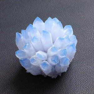 u u[NX^NX^[ VR A}fBt[U[ A}Xg[ CeA  ItBX rO fXN   ԉo