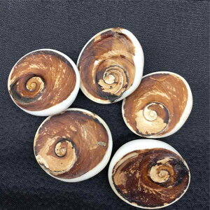 u VRL Lk zL CmÐW{ DIYf ANZT[ I[ig CeA IuWF _ Vv