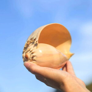 u ^ F L Lk VRf IuWF CeA RNV tp A v^[  rO  Mtg