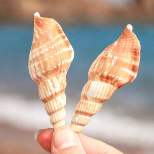 Lk VRL ^ AbNXVF ANAE  CAEg eE IuWF fBXvC CeA 