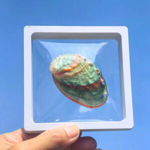 Lk Jt VR ArL W{ RNV  ANAE CeA u IuWF  fBXvC [{bNX  A} Z[Wz_[