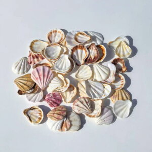 CeAG VRLk [Yz^e L DIY nhChf ~j`Ai ANAE eE  p[c R Ntgޗ AWAeCXg ~bNXJ[ 3-5cm