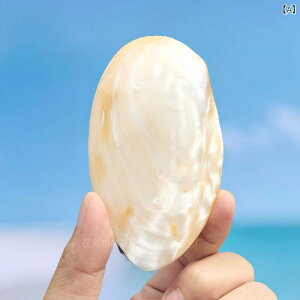 Lk VRp[L L ς ANAE  fBXvC CeAG nhChf Ϗܗp ^u(x2)