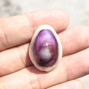 Lk ڃ^JKC ^ VRf CeA G fBXvC u W{ RNV q  DIY Ntg | ޗ(x3)