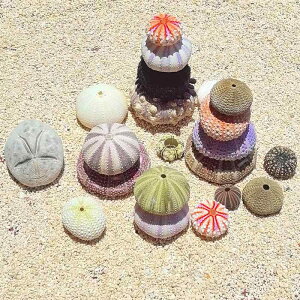 Ej̊k Lk L X VRf W{ GAvc ~ CAEg ANAE eE DIY nhCh CeA fBXvC (x3)