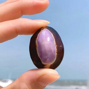 Lk VR S ^L W{ RNV Ϗܗp  ANAE CAEg IuWF A eE DIY f(x3)