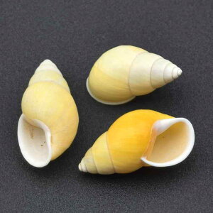 u VR  Lk F XpC W{ H|i CeA  ANAE CAEg RNV i` Vؕ AWA