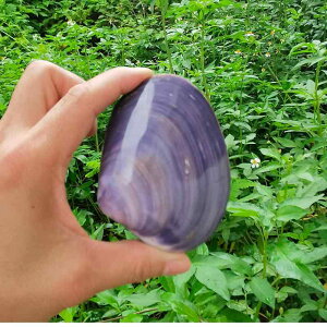 IuWF VRLk ChlVAY TLn}O 񖇊L   W{ RNV CeA av[g Mtg LOi j G p[v(x2)