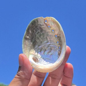 Lk GhO[ VR Ar VF RNV  CeA u IuWF A} Z[W   q[O(x2)