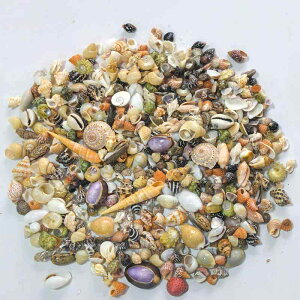 DIYޗ VRLk L X ~bNXA\[g K^ C{[J[ nhCh | H CeA u Yr {gA[g eE ANAE