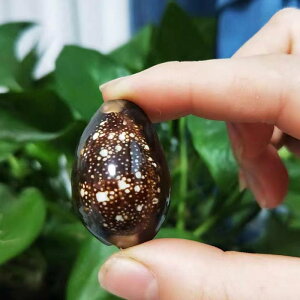 Lk VR L R Vؕ CeA DIY   u IuWF ANAE W{ 2.5-3.5cm(x3)