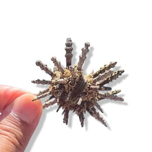 CeAIuWF VR Ejk W{ O[ Lk L X  RNV z[fR[V  u 