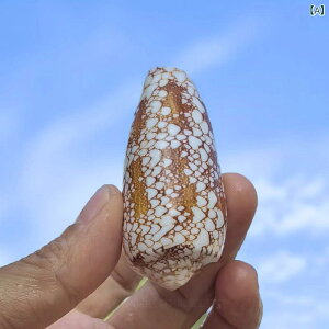 Lk u VR  L {CKC I}[CKC RNV W{ fBXvC IuWF CeA  rO Ϗܗp  ͋C 