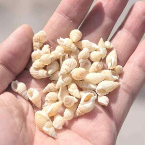 Lk VR ĊL L ` ~jTCY  ANAE CAEg eE {gANAE DIY Ntgf W n[oE CeA IuWF  i`