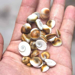 Lk VR~bNXVF  L zL X DIY | Ntgf Yr  ANAE eE }G CeA IuWF(x2)