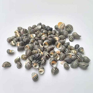 Lk XCJ}RUKC L C͗l ANAE CAEg   eE ~jW{ IuWF VRf