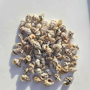 Lk VR L ѐD䗆 ^ ~jTCY 1.5-2.5cm LOi RNV CeA u DIY nhCh Ntg f Ϗܗp i`