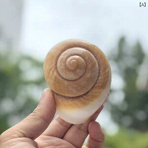 Lk hJp B Zݑւ VR ~` L zL  ANAE CAEg  IuWF ^p