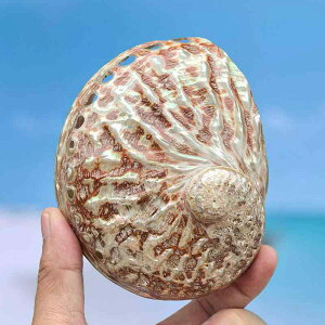 u VR ؃ArLk L W{ RNV ANAE nCX^C Be CeA  fBXvC Rf I[ig