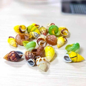 Lk VR F  L VF W{ RNV fBXvC hJp VF  ANAE eE CAEg  IuWF(x3)